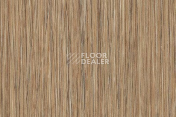 Плитка ПВХ Forbo Allura Click 61255CL5 natural seagrass фото 1 | FLOORDEALER